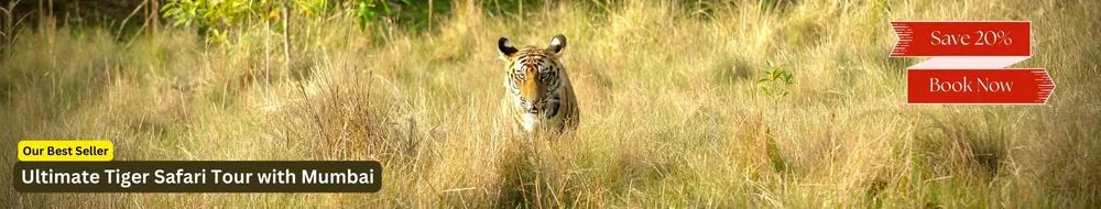 ultimate-tiger-safari-tour-with-mumbai