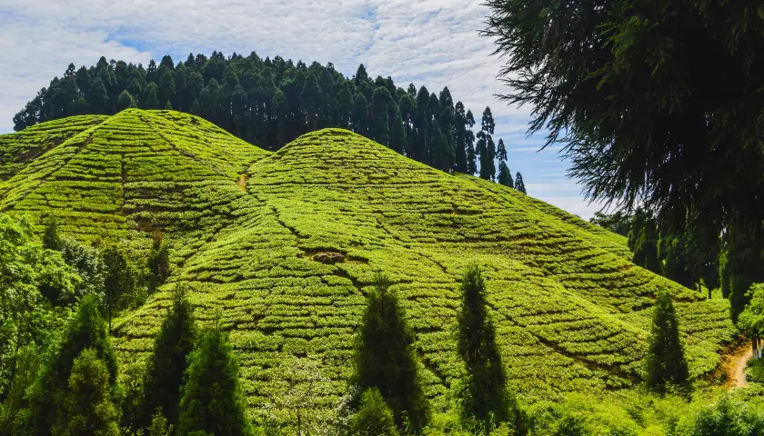 short-trip-to-darjeeling