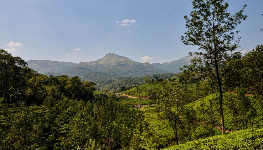 romantic-and-wild-bandipur-wayanad-udupi-tour